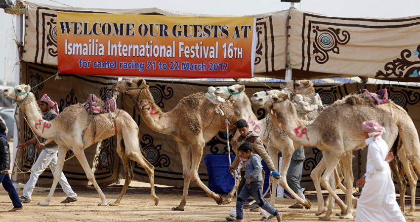 سباق الجمال في الإسماعيلية بمصر