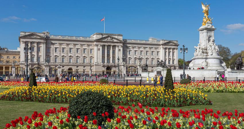 Buckingham_Palace_from_gardens,_London,_UK_-_Diliff
