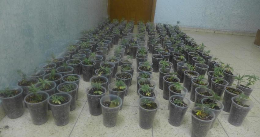 10293547_290404214451952_1600347730434290252_o