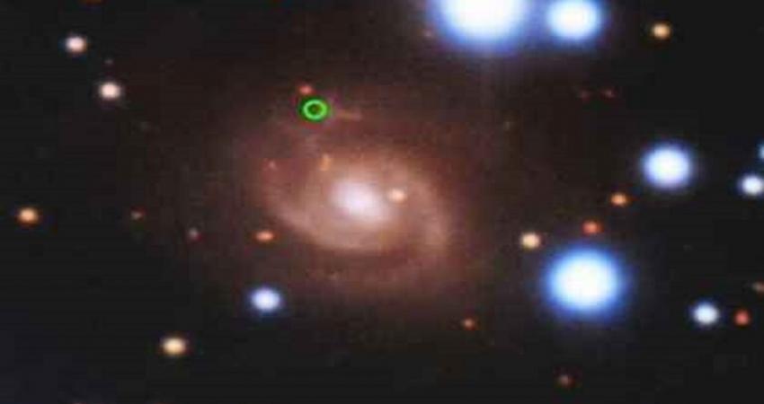 image (1)