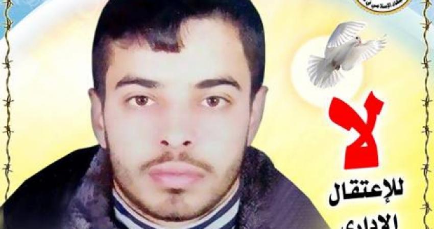 الأسير أنس شديد