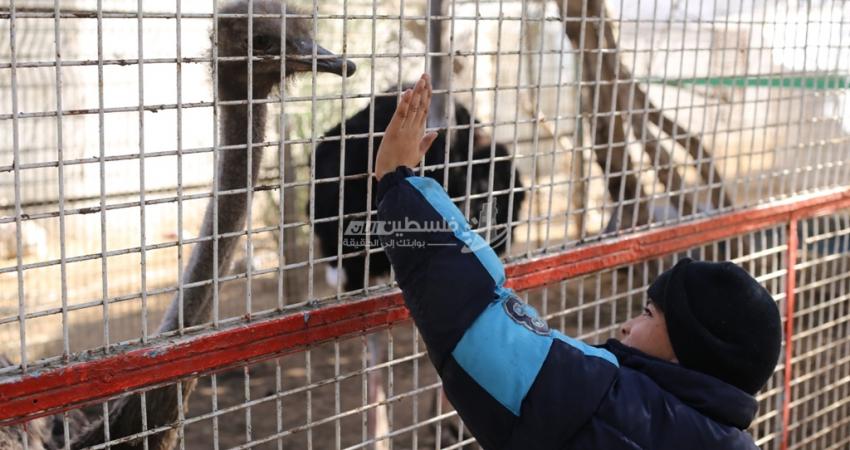 أول حديقة حيوان في القطاع مهددة بالإغلاق