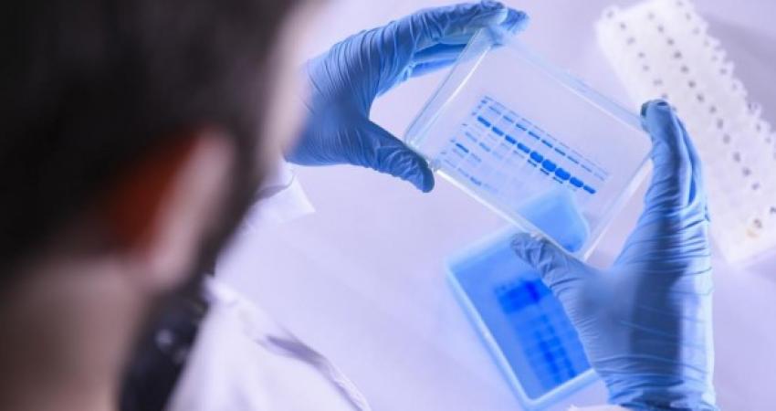 مصر تبدأ تجربة استخدام علاج جديد لفيروس كورونا