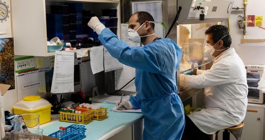 فيروس كورونا