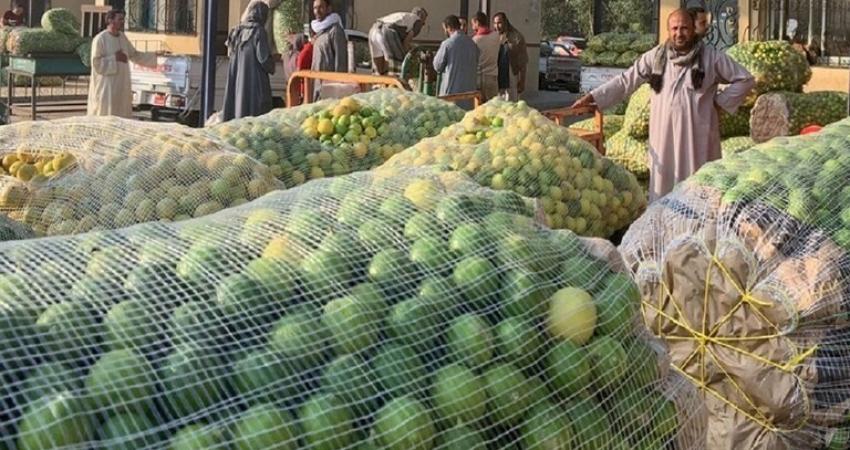 مصر.. الخوف من كورونا يرفع الطلب والسعرعلى الليمون