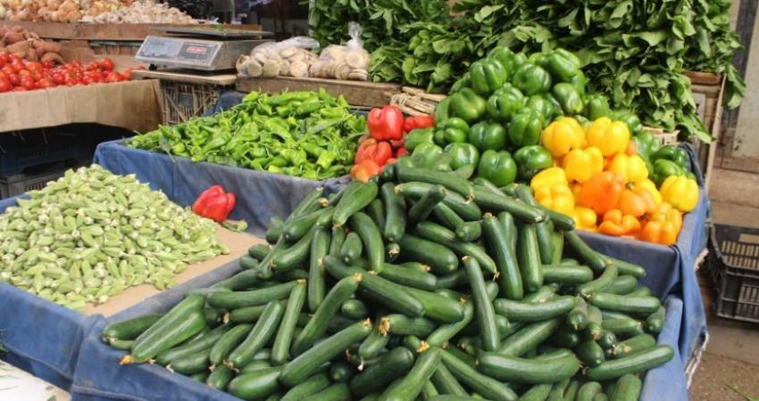أسعار الخضروات والفواكه في أسواق قطاع غزة اليوم