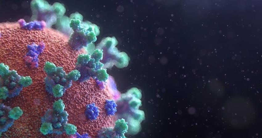 تجربة "التضامن" هي تجربة سريرية دولية أطلقتها منظمة الصحة العالمية وشركاؤها لإيجاد علاج ناجع لمرض "كوفيد-19"- CCO