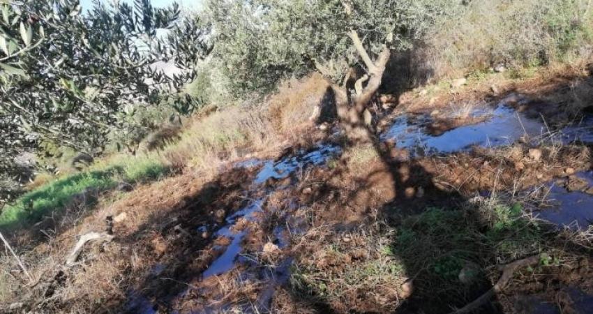 مستوطنون يضخّون المياه العادمة نحو الأراضي الزراعية شرق نابلس