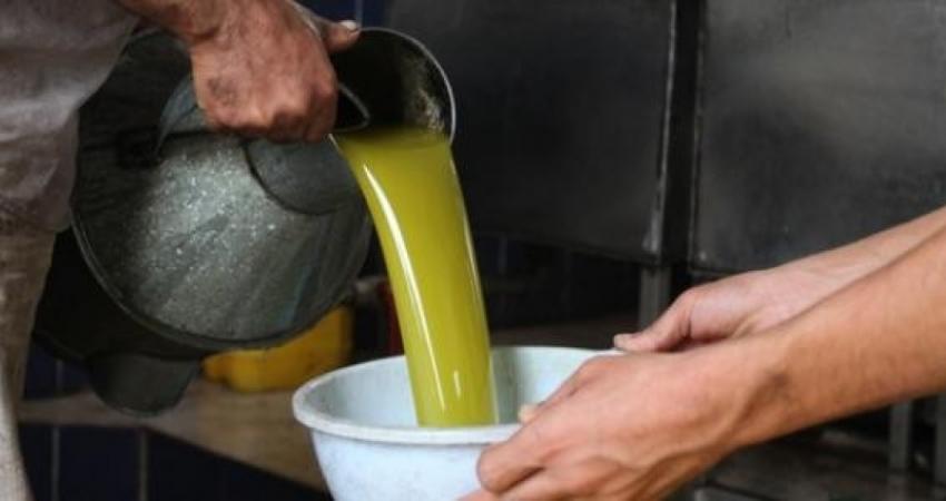 "الزراعة" بغزة: لن نسمح باستيراد الزيت لحين انتهاء المنتج المحلي