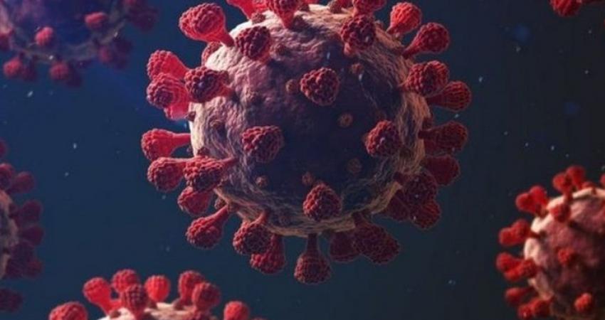 الدراسة تقدم دليلا على أن مناعة الخلايا التائية قد تستمر لفترة أطول من الأجسام المضادة