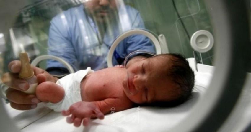 غزة تشهد 3483 مولودًا جديدًا خلال نوفمبر الماضي