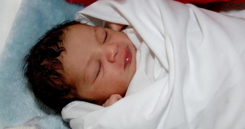 3391 مولوداً جديداً و338 حالة وفاة في غزة خلال يناير