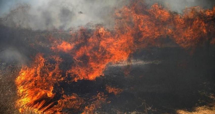 الاحتلال يزعم اندلاع الحرائق في مستوطنات غلاف غزة بفعل البالونات الحارقة