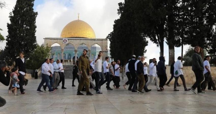 أكثر من 793 مستوطنا اقتحموا ساحات المسجد الأقصى اليوم