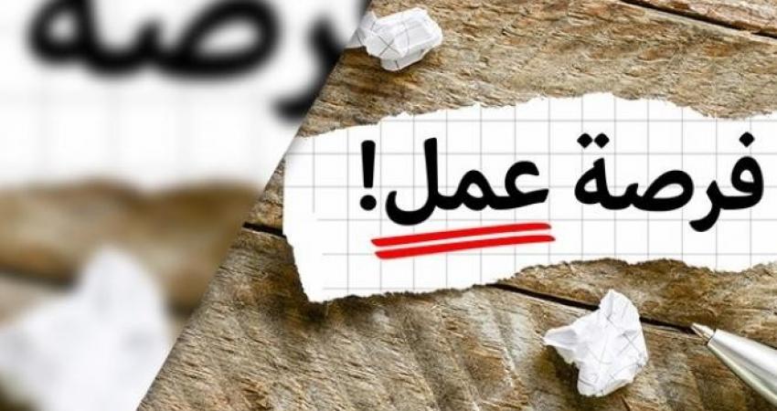 رام الله: وزارة العمل تنشر روابط لـ 3940 فرصة عمل