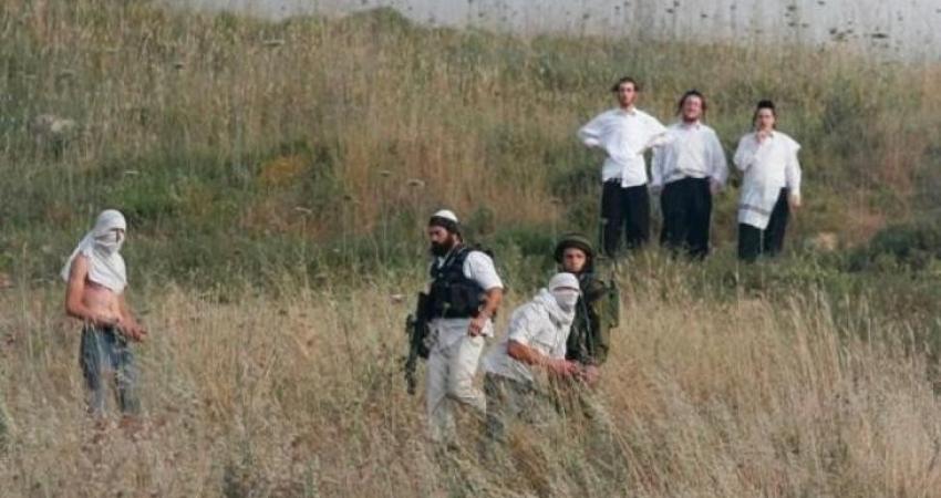 مستوطنون يعتدون على راعي أغنام بـ "مسافر يطا"
