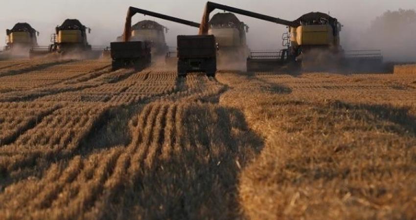 "إسرائيل" تبحث استيراد القمح من كازاخستان