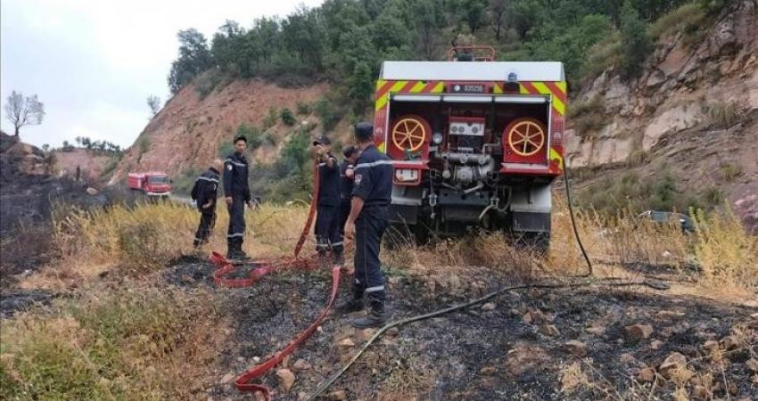 ارتفاع وفيات حرائق الغابات في الجزائر إلى 38