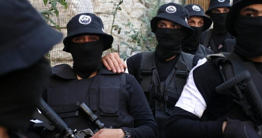مجموعات عرين الأسود