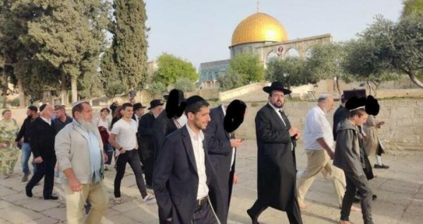 214 مستوطنًا يقتحمون باحات الأقصى