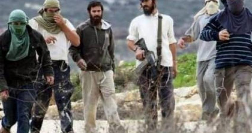 مستوطنون يهاجمون عمالاً ويحرقون جرافة جنوب نابلس