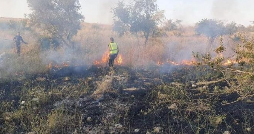مستوطنون يحرقون محاصيل زراعية بمسافر يطا جنوب الخليل