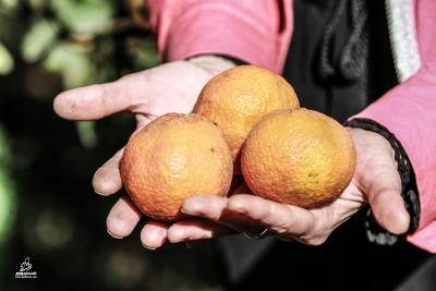 IMG_7745
