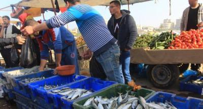 سوق-السمك-بالنصيرات-6