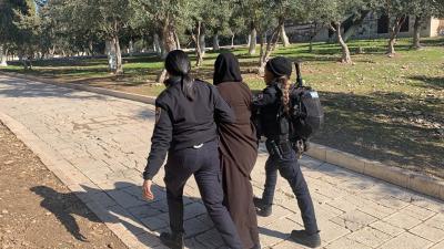 ققققق