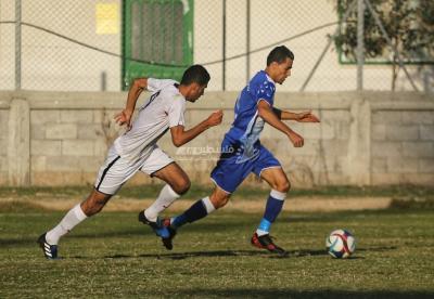 IMG_6115-01 [أقصى عرض 1024 أقصى ارتفاع 768]