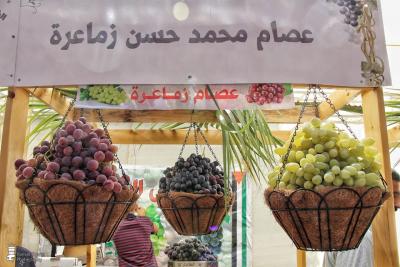 ششششششش