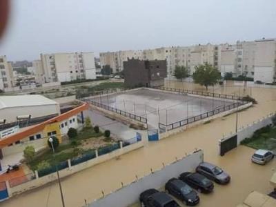 سسسسسسسس