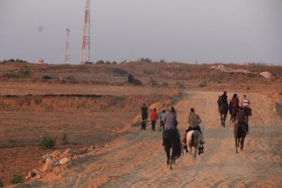 صور: عروض الخيل في شارع جكر شرق الوسطى‎