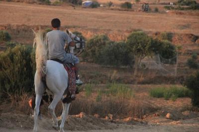 صور: عروض الخيل في شارع جكر شرق الوسطى‎