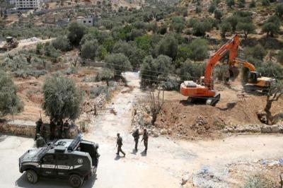 صور: جرافات إسرائيلية تقتلع أشجار زيتون غرب بيت لحم