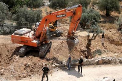 صور: جرافات إسرائيلية تقتلع أشجار زيتون غرب بيت لحم