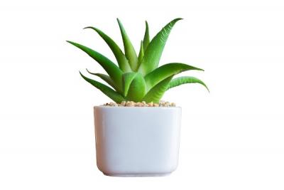 photo_6_copy_2