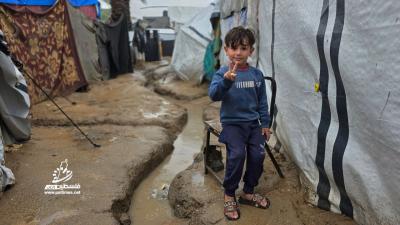 7c5de8fa-1ec3-421f-8cdc-e731fcef9713