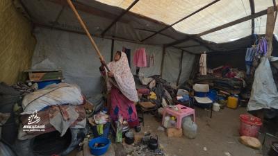 eb0019e4-4026-4f36-87dd-eeee38459e48