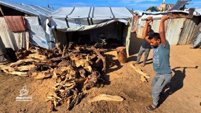 2eef6c90-936e-4ece-b844-c5befb0b9b40