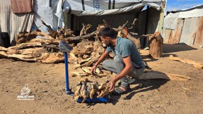 8b8f48ec-84c8-4b1f-98c9-745471490d55