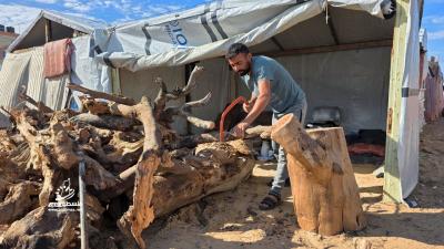 05e9876a-34b3-45fa-9c01-038c470f3eaf