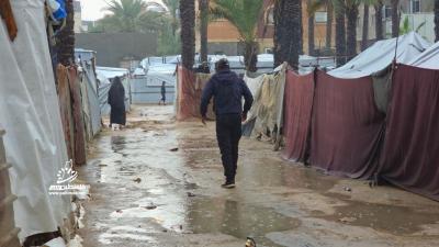 0dd6277c-bf07-4d21-b32d-f252a7d4fefe