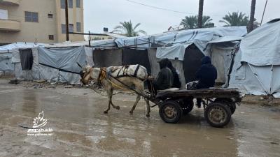 774af68a-fa17-4287-8e7a-aede1fd96f03