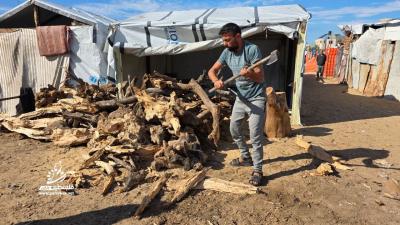 4d66a1b3-7636-4178-9362-2552614eab32