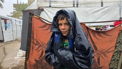 8b1212d2-65fe-4fb2-9b23-d1711374985e