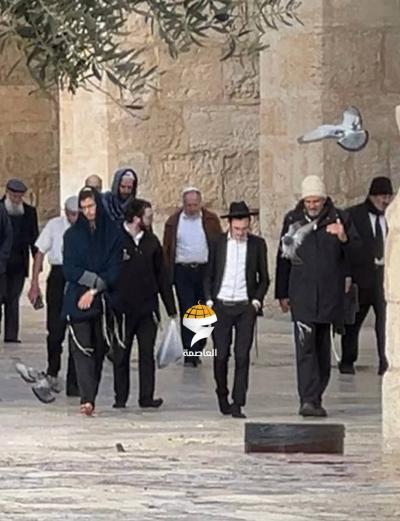 603551a1-a250-457f-8eae-067d59b4a5f1