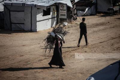 b3fa49bd-3862-47a0-be48-7d4c0eeda18f