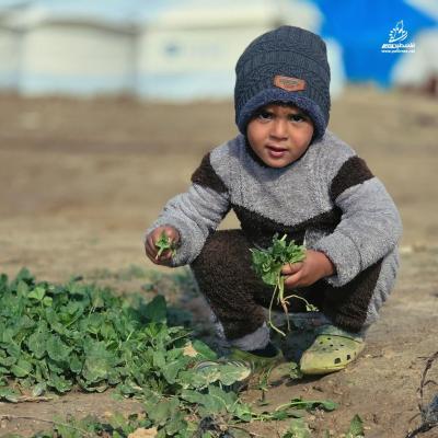 photo_2026-01-07_12-26-45 (2)