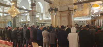 photo_2026-02-01_08-55-25